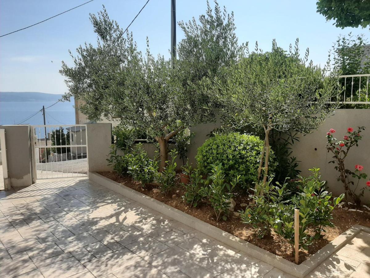 דוגי ראט Apartment Ante מראה חיצוני תמונה